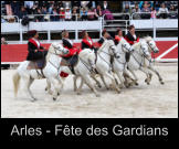Arles - Fête des Gardians