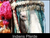 Indiens Pferde